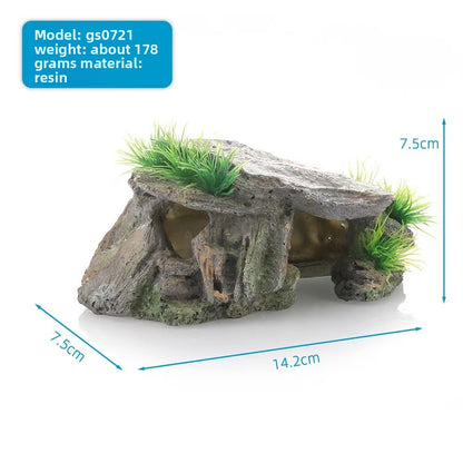 Pet turtle sun terrace