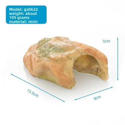 Pet turtle sun terrace