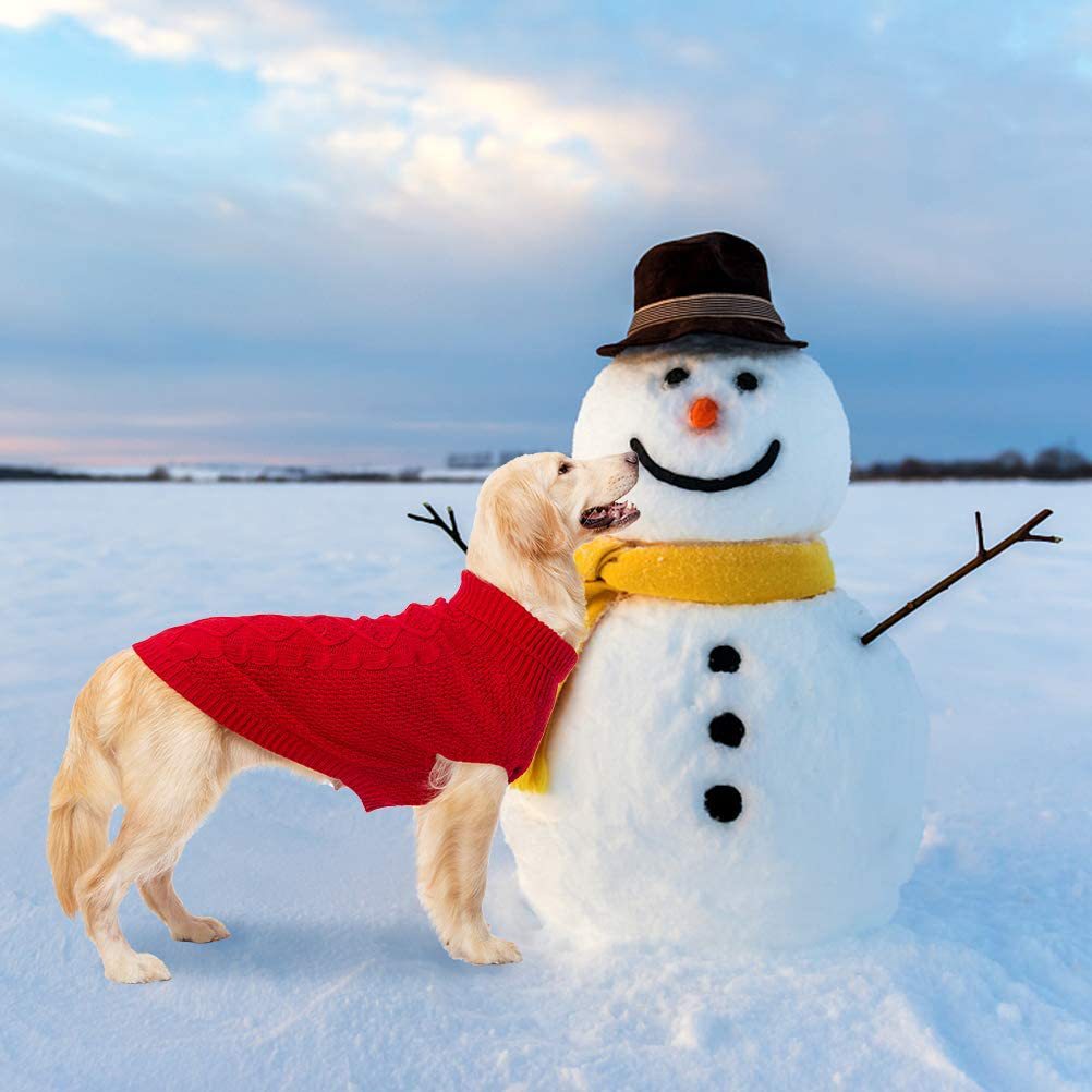 Pet Twisted Rope sweater