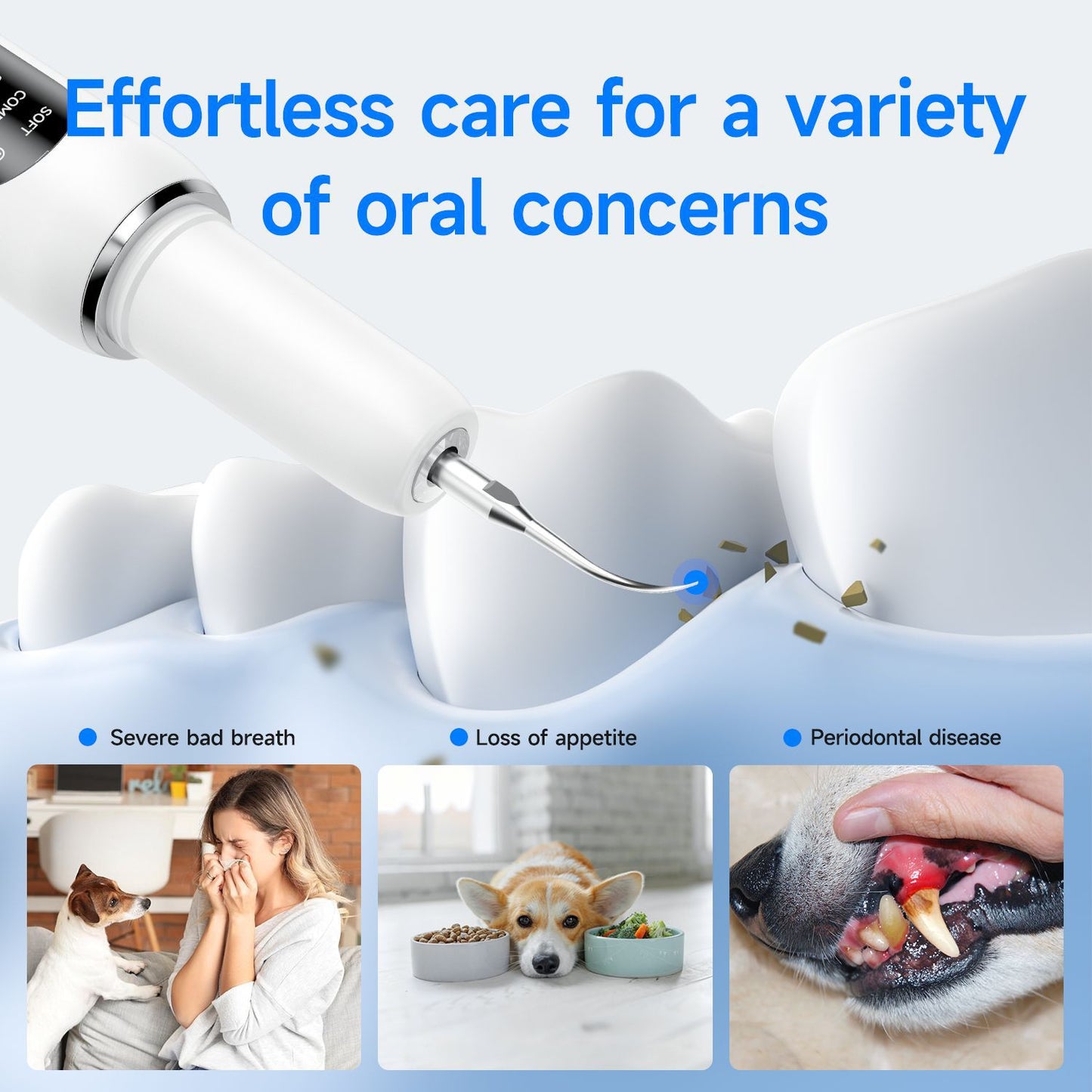 Pet ultrasonic calculus removal dental cleaner