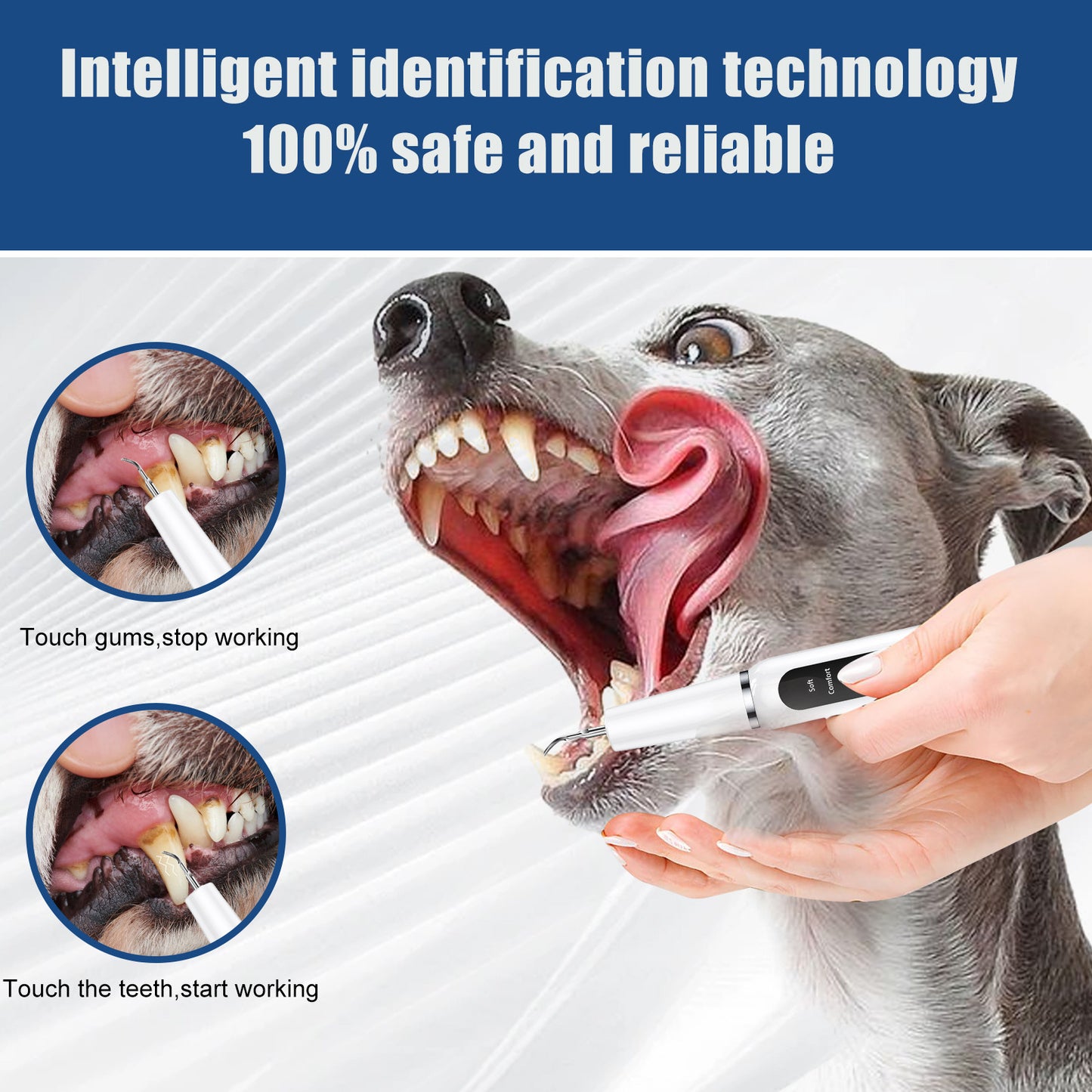 Pet ultrasonic toothbrush