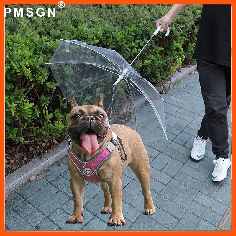 Pet Umbrella