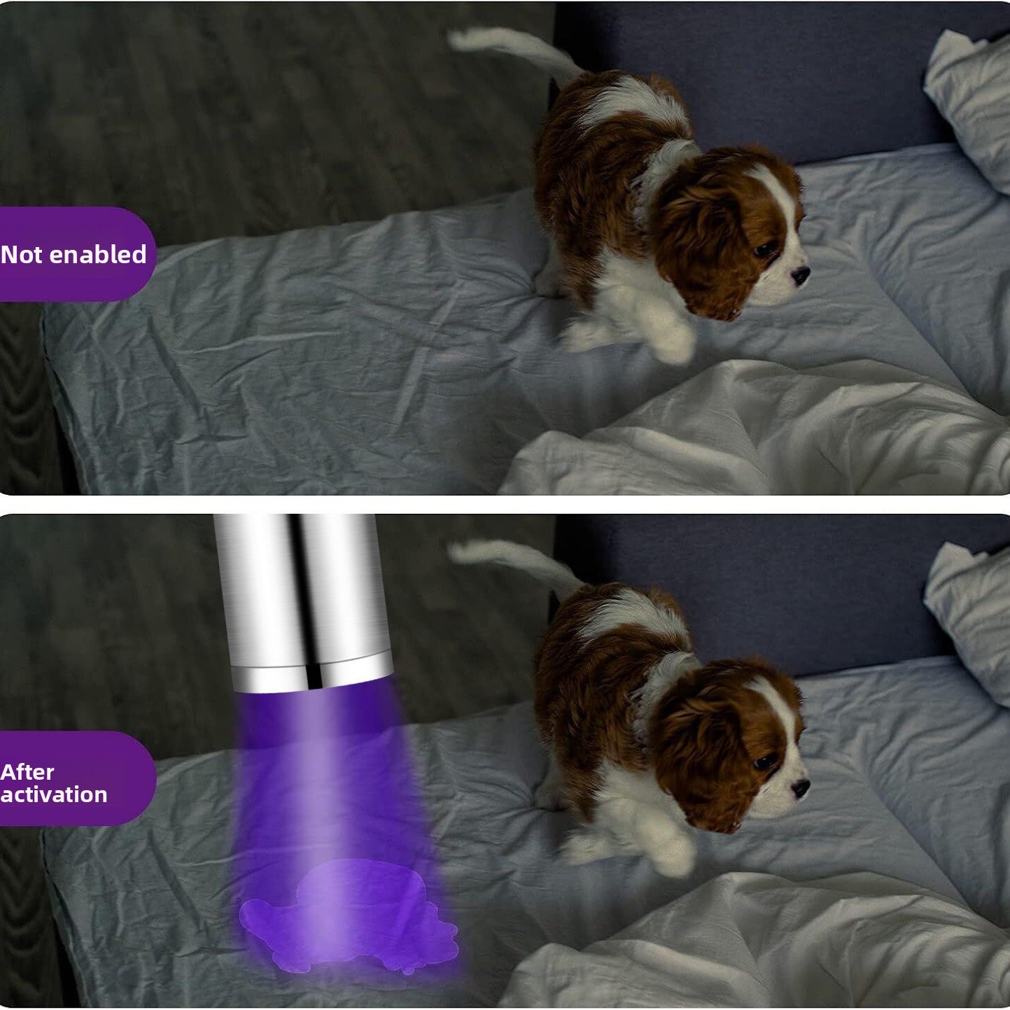 Pet UV Light