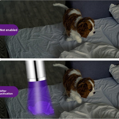 Pet UV Light