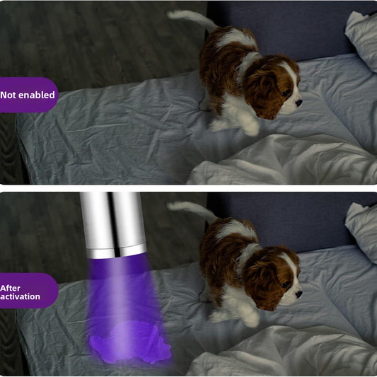 Pet UV Light