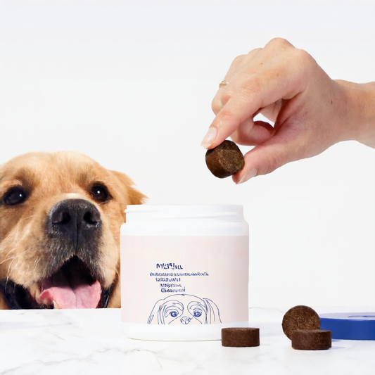 Pet Vitamin Chewable Tablets for Dogs