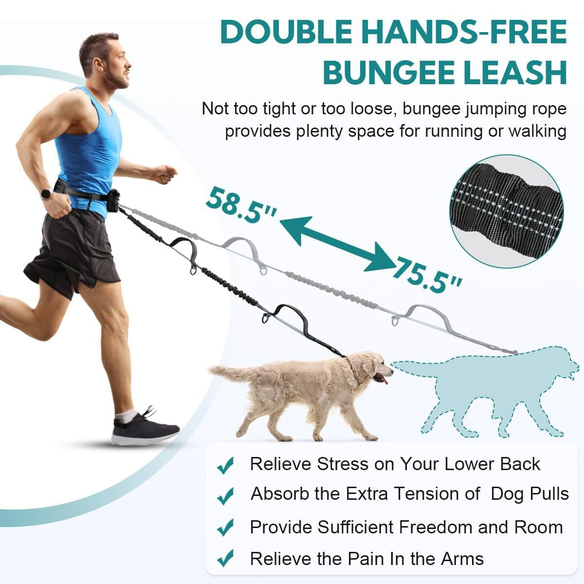 Pet Waist Bag