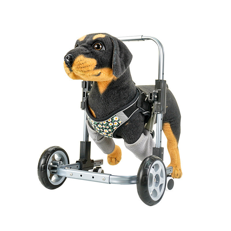 Pet Walker