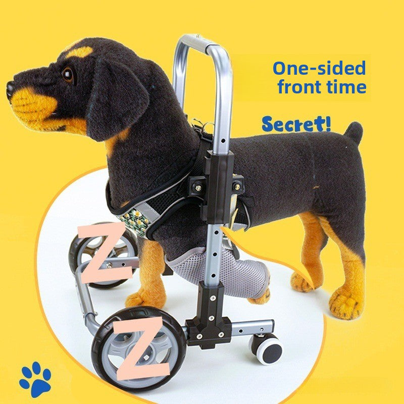 Pet Walker