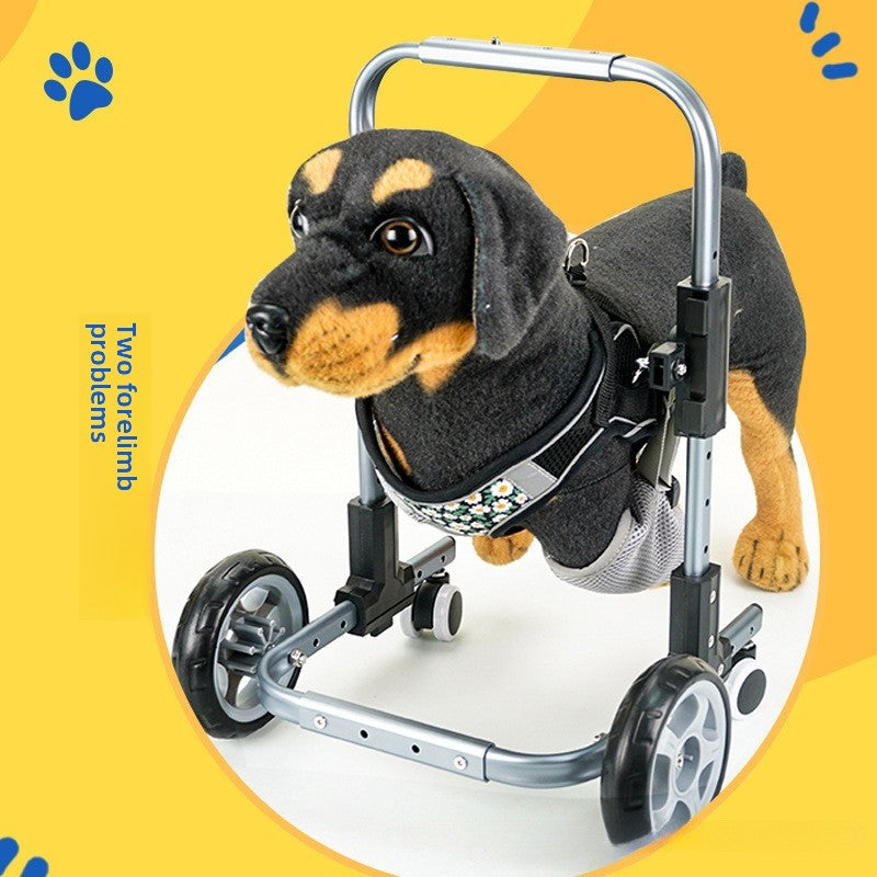 Pet Walker