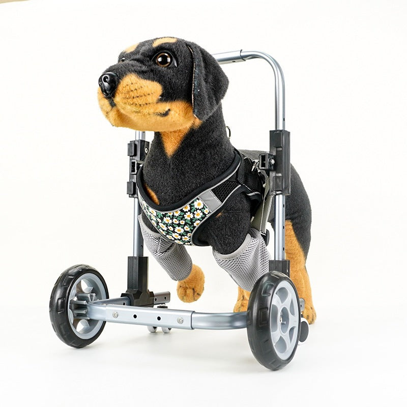 Pet Walker