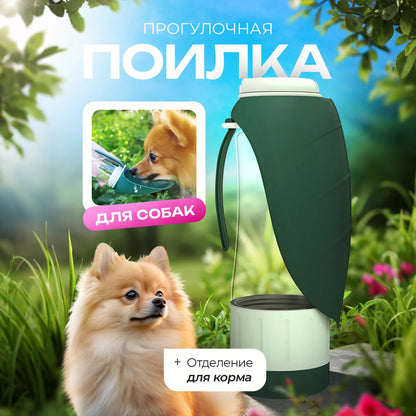 Pet Water Bottle