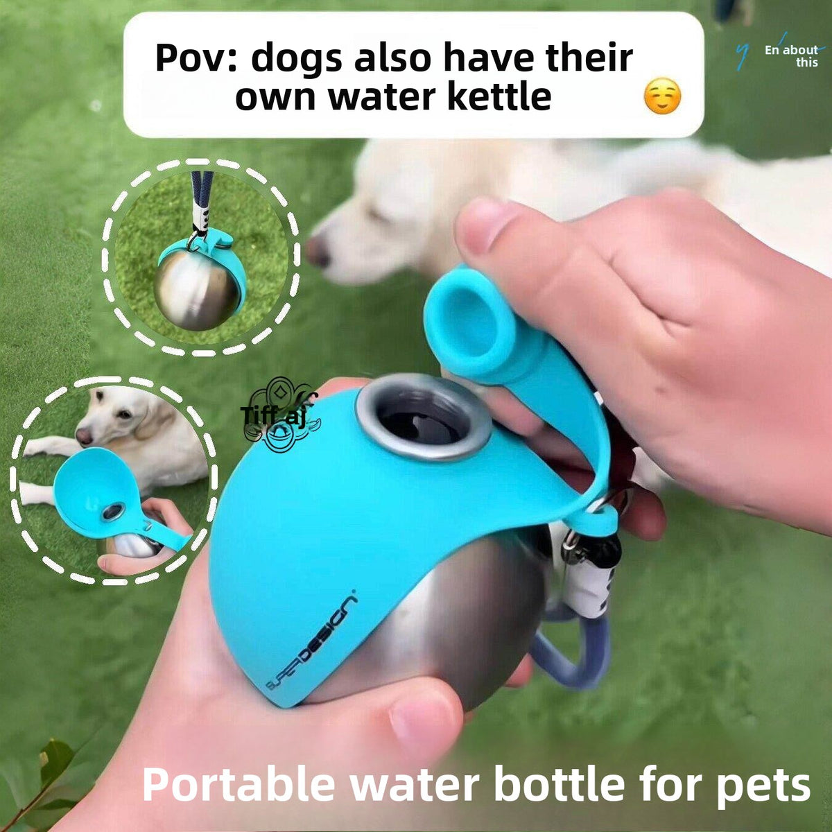 Pet water bottle