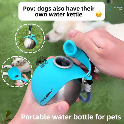 Pet water bottle