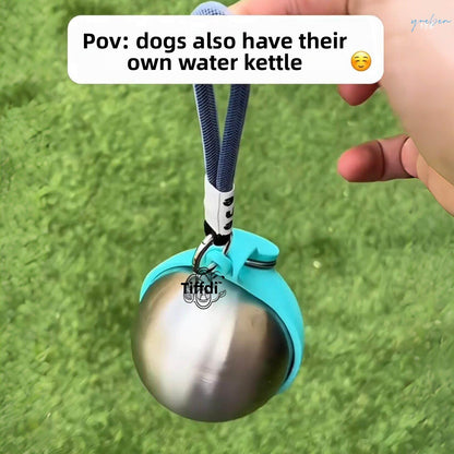 Pet water bottle