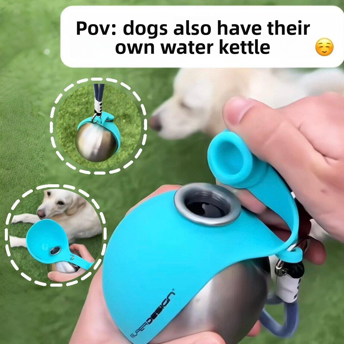 Pet water bottle