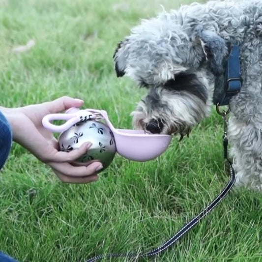 Pet water bottle