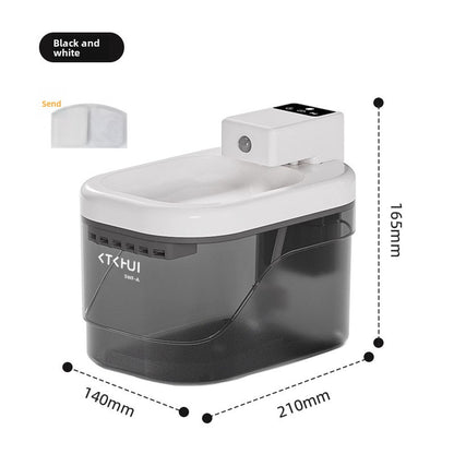 Pet water dispenser