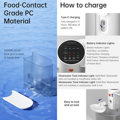 Pet water dispenser