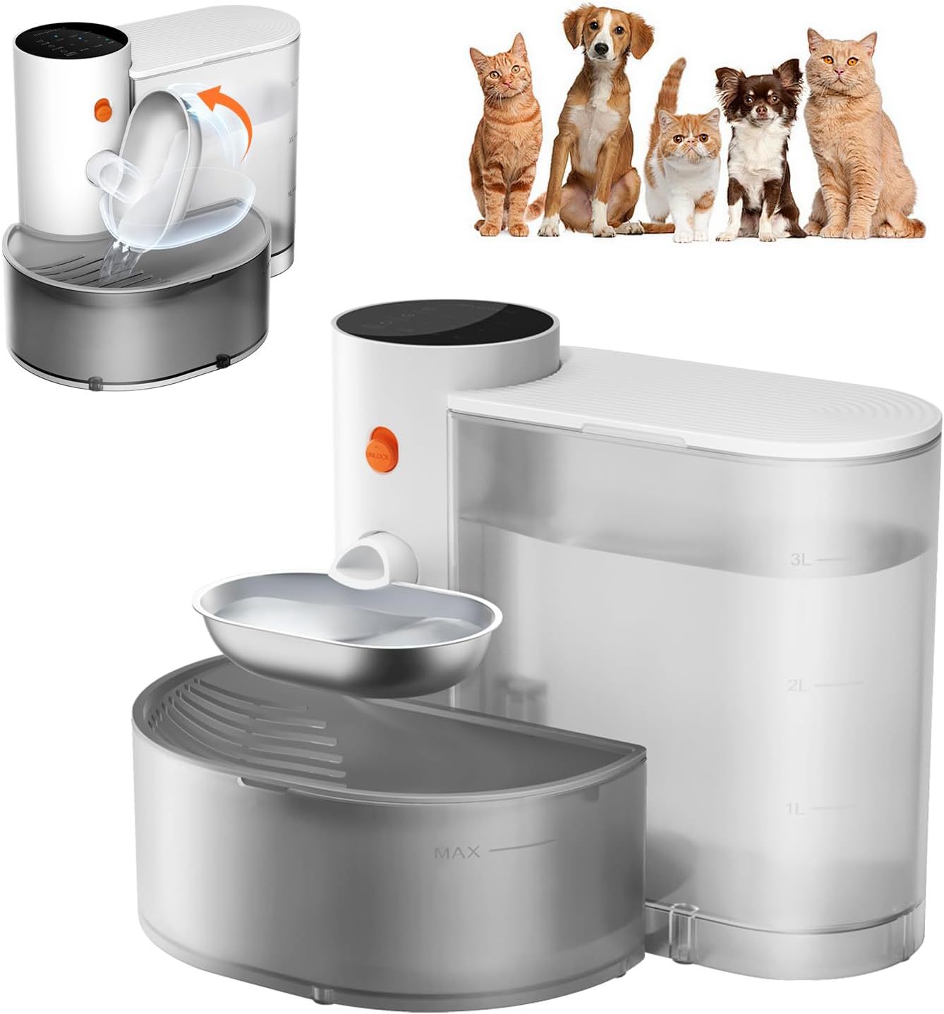 Pet water dispenser
