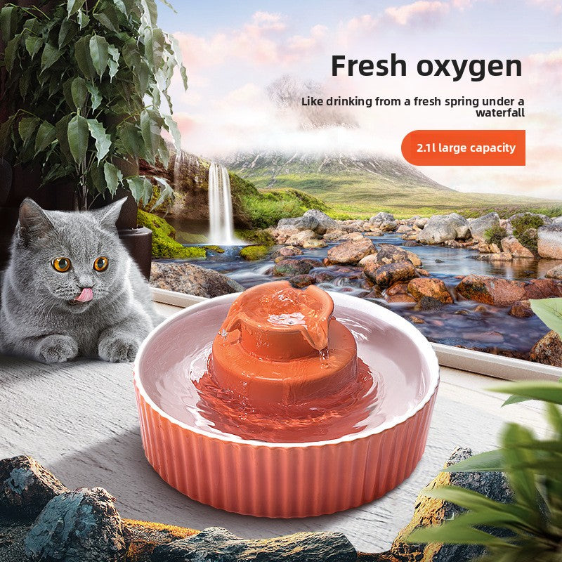 Pet water dispenser