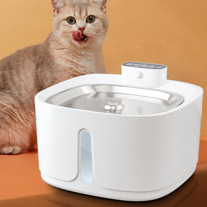 Pet Water Dispenser