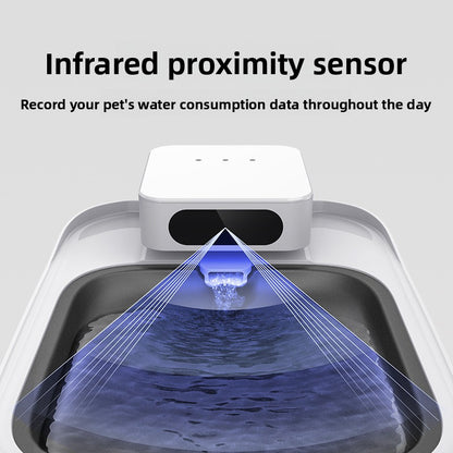 Pet Water Dispenser