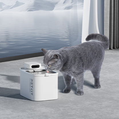 Pet Water Dispenser