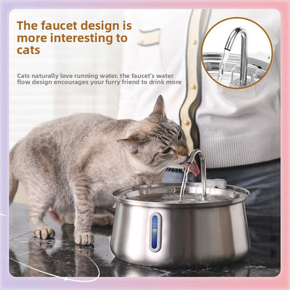 Pet Water Dispenser