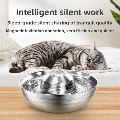 Pet Water Fountain