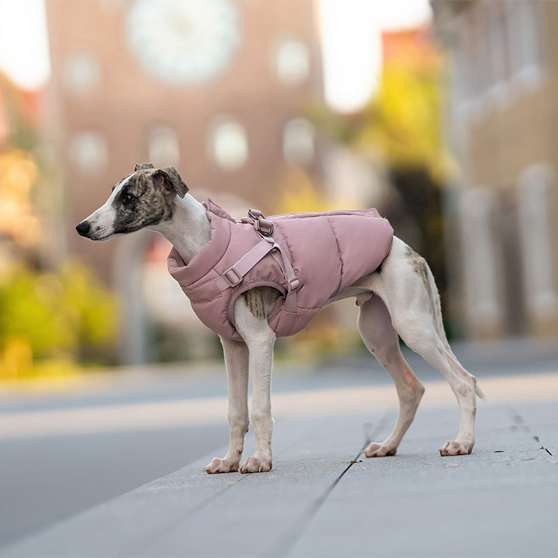 Pet winter jacket