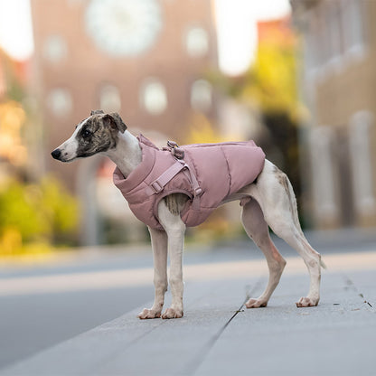 Pet winter jacket