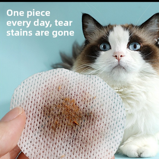Pet Wipes