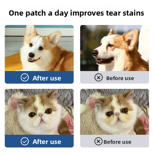 Pet Wipes