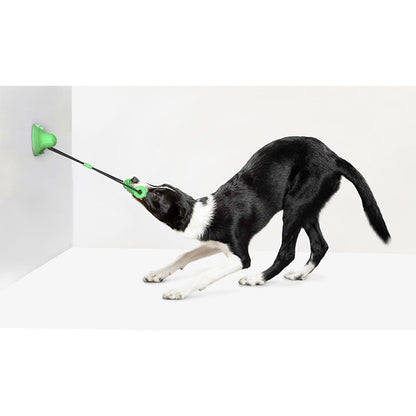 PetMolar Amazon Explosions Dog Toy Double Suction Cup Pull Rope Molar Bite Resistant Tooth Cleaning Rod Pet Supplies 01