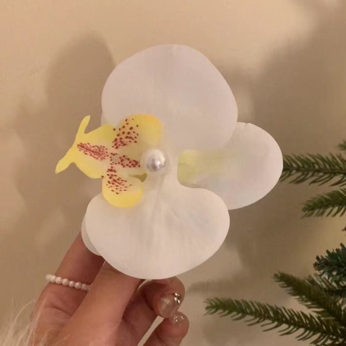 Phalaenopsis hairpin