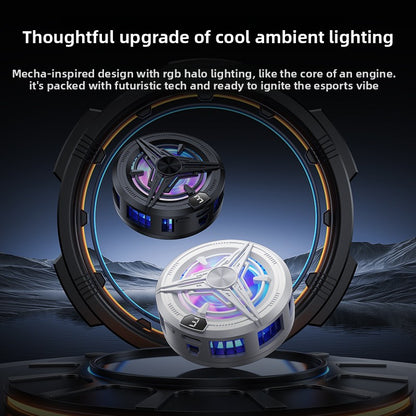 Phone cooler