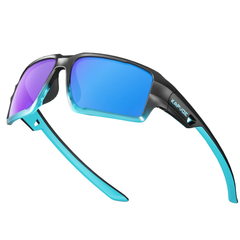 Matte Black Frame Polarized Gray
