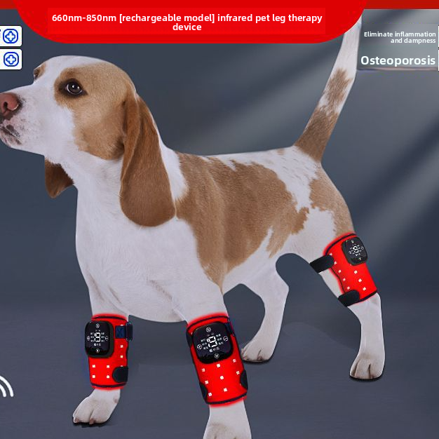 Physiotherapy Device