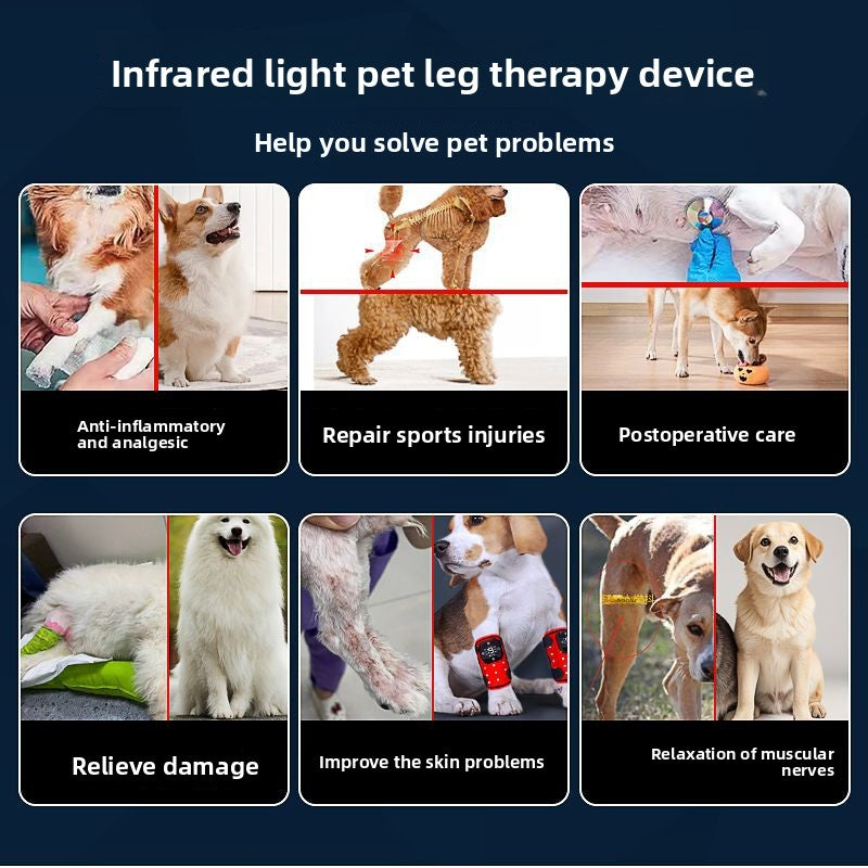 Physiotherapy Device