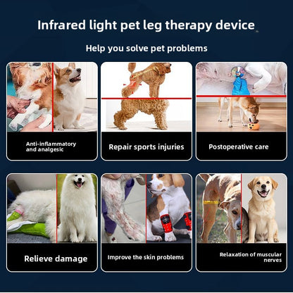 Physiotherapy Device