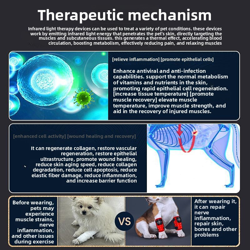 Physiotherapy Device