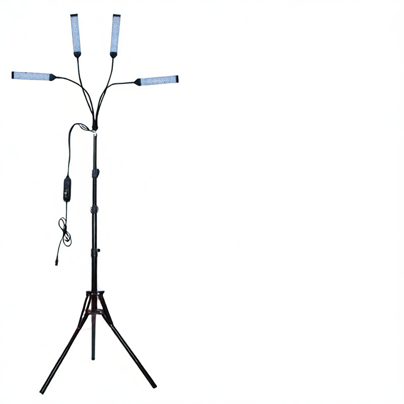 physiotherapy lamp