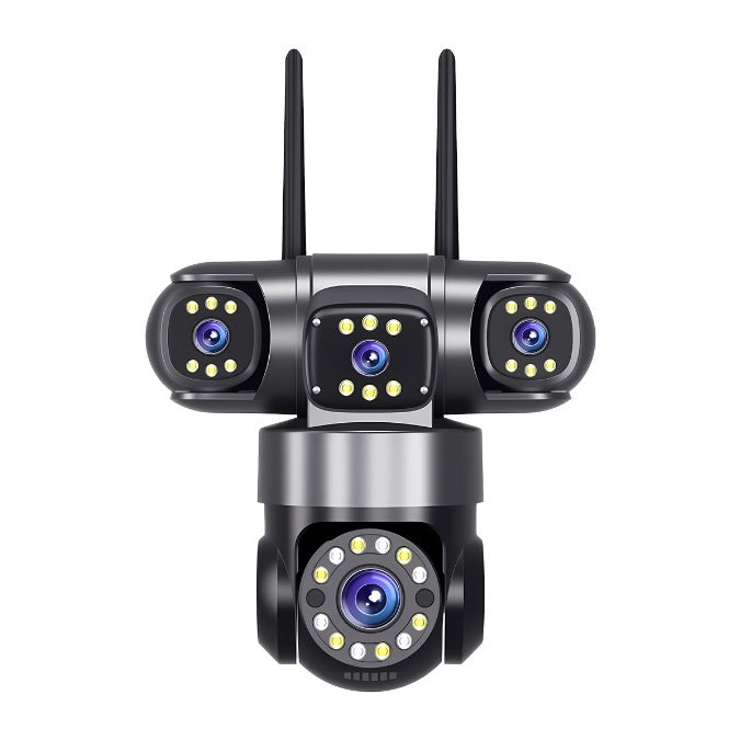 Picture monitoring camera