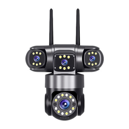 Picture monitoring camera