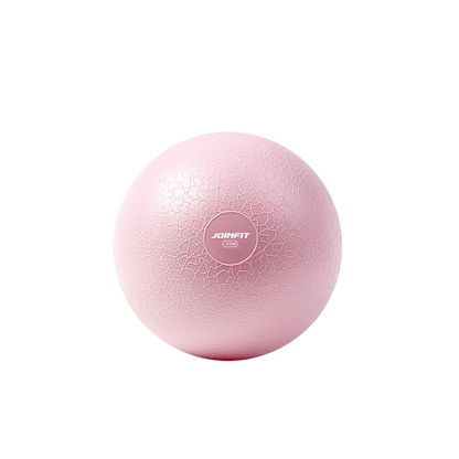 Pilates Exercise Ball