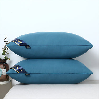 Pillow Core