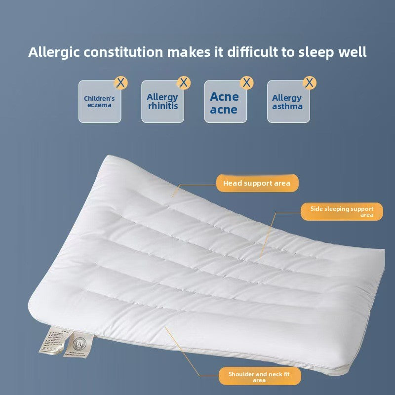 pillow cushion