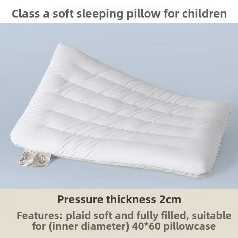pillow cushion