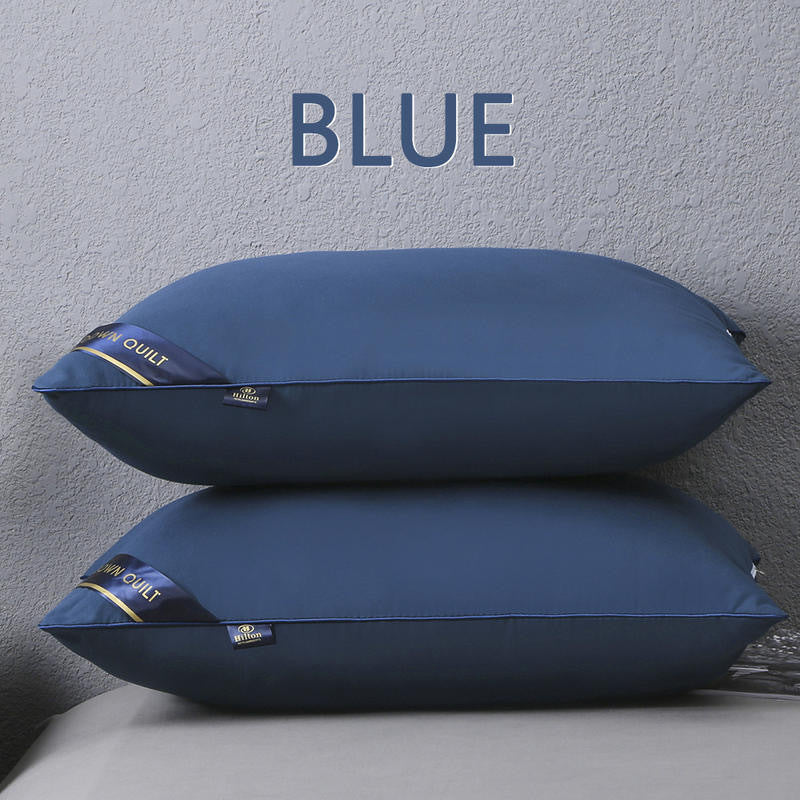 Pillow Insert
